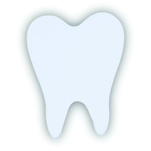 Imán En Forma De Muela