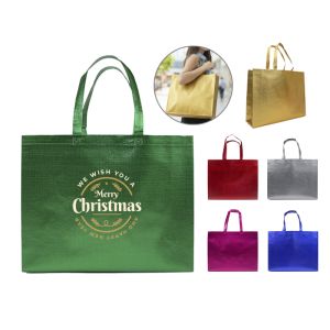 Bolsa ecológica Delivery