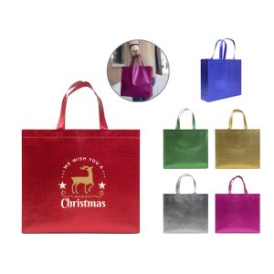 Bolsa ecológica Delivery